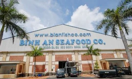 Tuần tới, nhà máy của Cty Bình An hoạt động