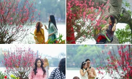 Đào bung sắc bên thảm hoa rực rỡ, 'nàng thơ' đua nhau chụp ảnh quanh hồ Hoàn Kiếm