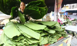 Chợ lá dong lâu đời nhất Hà Nội: Ngày bán hàng vạn lá, thu về hàng chục triệu