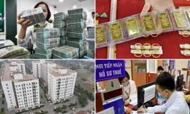 Lương sắp tăng cao nhất lịch sử; sự thật việc phạt nợ thuế