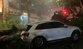 Cây cổ thụ bật gốc gãy đổ đè bẹp nhiều ô tô, xe máy trong mưa giông