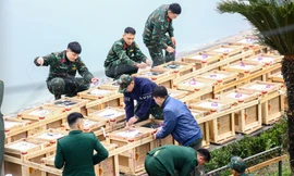 Tận thấy trận địa pháo hoa ở Hà Nội trước giờ khai hỏa