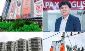 Lùm xùm về Shark Thủy vừa bị bắt; gần 340 tỷ gửi ngân hàng bỗng dưng 'bốc hơi'