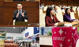 Lương công chức vài trăm năm mới mua được nhà? 