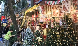 Hàng trăm triệu người chi tiền cho Noel, điều bất ngờ ở cây thông thật và giả