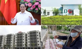 Thần tốc đường dây 500kV; công ty xổ số lãi đậm