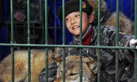 Cha nhốt con gái cùng chó sói để luyện lòng dũng cảm