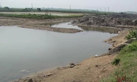 Bé gái 13 tuổi chết đuối khi đi chăn trâu