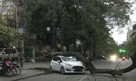 Hiện trường vụ việc.