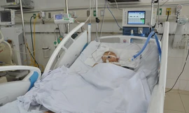 Nổ súng bắn chim, trúng đầu bé trai 10 tuổi