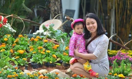 Cùng với Lễ hội hoa xuân là các chương trình biểu diễn nghệ thuật dân gian, đương đại đặc sắc được tổ chức.