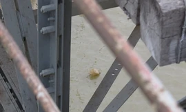 Theo đó, ngày 24/11, Cục đường thủy nội địa Việt Nam phát đi thông báo cho biết, người dân phát hiện một chướng ngại vật tại khu vực địa phận phường Ngọc Thụy, quận Long Biên (Hà Nội). Ảnh: Thanh Hà.