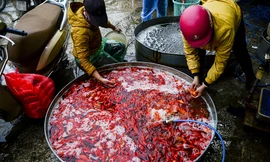 Đây là chợ cá đầu mối lớn nhất của Hà Nội, buôn bán các loại cá vàng trong dịp cúng ông Công, ông Táo.