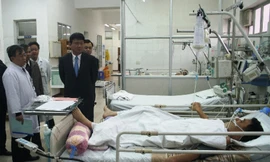 Ngộ độc, tai nạn giao thông gia tăng