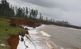 Sạt lở bờ biển ngày càng nặng