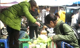 Sinh viên thắt hầu bao dịp tết