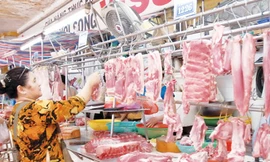 Giá thực phẩm hạ nhiệt