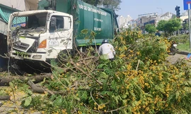 Xe chở rác mất lái tông bật gốc cây xanh ven đường