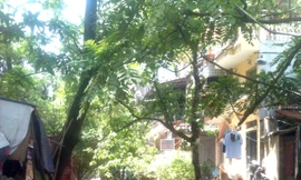 Nhiều hộ dân có nguy cơ mất nhà vì tờ trình của UBND quận Đống Đa.