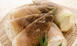 Chọn măng tươi thế nào để loại bỏ chất độc?