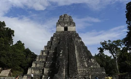 Ráo riết tìm người làm 'chuyện ấy' vào ‘ngày tận thế’