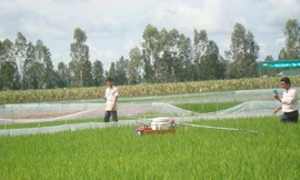 Chàng trai chế Robot phun thuốc trừ sâu