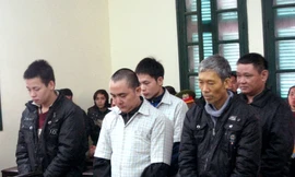 Thuê taxi lên Thủ đô cưa trộm cây