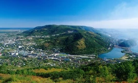 Khu rừng ở ngoại ô Petropavlovk, nơi binh sỹ lẩn trốn