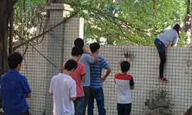 Các nhân viên của khu công nghiệp phải trèo tường đi làm suốt 2 năm qua