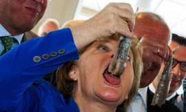 Thủ tướng Đức Angela Merkel há miệng ăn cá trích ngâm sau lễ đặt tên cho chiếc tàu đánh cá ROS 777 của trại nuôi cá Warnemuender ở Sassnitz, miền đông nước Đức hôm 26/5