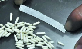 Gạo già làm bằng giấy cuộn mới được phát hiện ở Quảng Đông, Trung Quốc