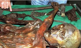 Người băng ăn gì trước khi chết?