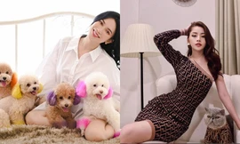 Dàn “boss” siêu cấp đáng yêu của sao Việt, gây ấn tượng nhất là “hậu cung” của Sĩ Thanh