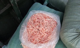 Thu giữ gần một tấn mực khô nghi làm từ nhựa, cao su