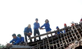 Đoàn viên thanh niên huyện Hải Hậu giúp nhân dân khắc phục hậu quả sau bão Ảnh: Mai Xuân Tùng