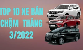 10 mẫu ô tô bán chậm nhất tháng 3 tại Việt Nam
