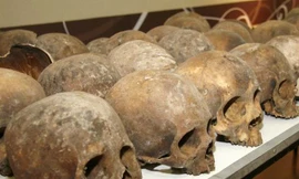 Tìm thấy 167 sọ người nghìn năm