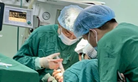 Ảnh minh hoạ: Internet