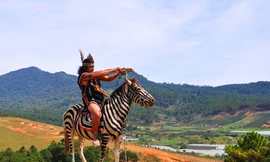 Sải vó trên núi đồi cao nguyên