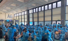 180 sinh viên Việt Nam được về nước tránh dịch COVID-19