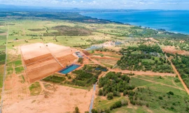 Hậu COVID-19, doanh nghiệp bất động sản vẫn chi ngàn tỷ mở rộng quỹ đất