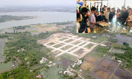 Dự án King Bay 125ha ở Đồng Nai bán nhà trước khi được giao đất