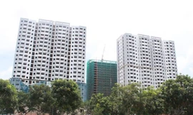 Chính phủ cho giảm đến 70% thuế GTGT, thuế TNDN nhưng Luật thuế chỉ cho giảm 50% 