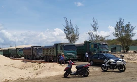 Lợi dụng dọn dẹp mặt bằng để khai thác cát lậu ở khu nghỉ dưỡng Free Land