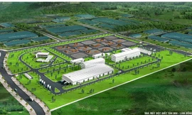 Tập đoàn Tân Mai của đại gia Lê Thành 'ôm' hàng loạt dự án BĐS