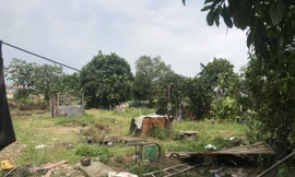 TPHCM: Mua đất được công chứng sang tên 'sổ đỏ' vẫn bị đòi lại