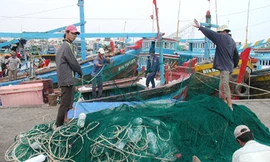 Nhiều tổ liên kết sản xuất, giúp ngư dân Bình Thuận bám biển đến cùng (Phong Châu)