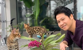 Mèo độc lạ và món lì xì không giống ai của ca sĩ Trọng Tấn