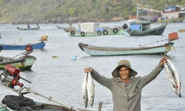 Ngư dân trên đảo