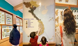 Bảo tàng Thiên nhiên Việt Nam: Chill miễn phí, khu tiêu bản bươm bướm đẹp đỉnh